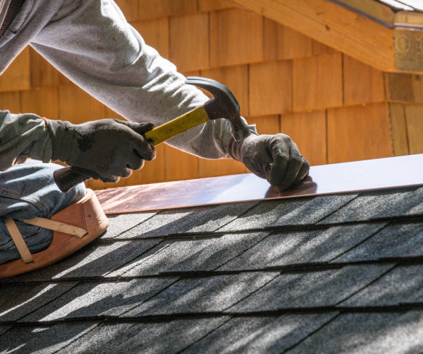 Best Roof Gutter Cleaning  in Rutherford, TN
